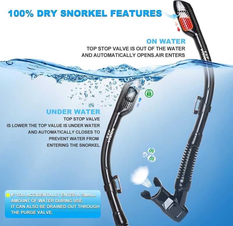 EXP VISION Snorkel Set Pano 4 Adult Snorkeling Gear, Professional Anti-Fog Snorkel Mask Dry Top Snorkel, Tempered Glass Scuba Diving Mask for Freediving, Snorkeling and Swimming - Image 3